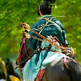 Kyoto 20100503_7D2458 CPR.jpg