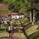 Yabusame_OgasawaraRyû 20180408_143 CPR.jpg