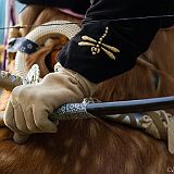 Yabusame Takeda_20131103_006 CPR.jpg