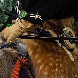 Yabusame Takeda_20131103_009 CPR.jpg