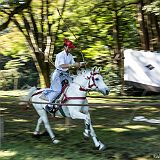 Yabusame Takeda_20161103_006 CPR.jpg