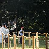 Yabusame Takeda_20161103_011 CPR.jpg